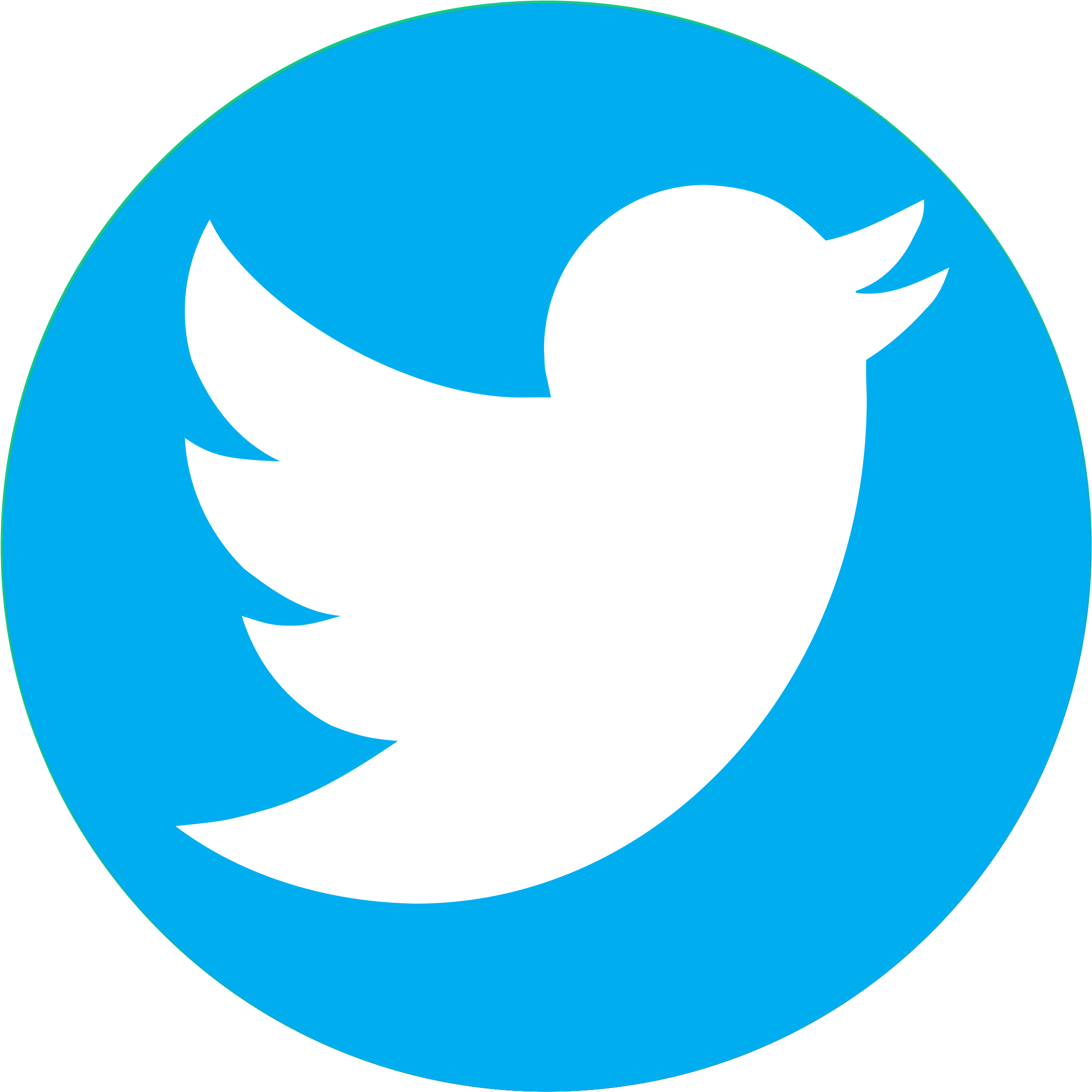 Twitter (X)